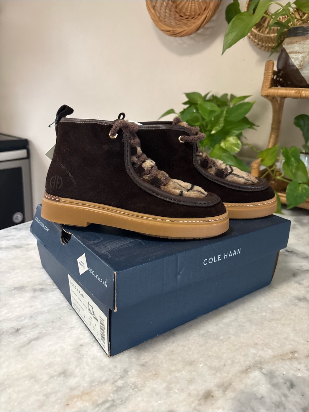 Cole Haan Dark Brown Suede Chukka Boots with Tan Sole